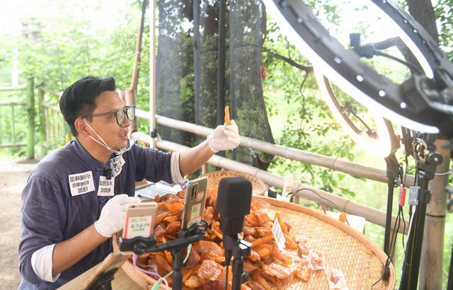 农村
直播带货
道县
电商