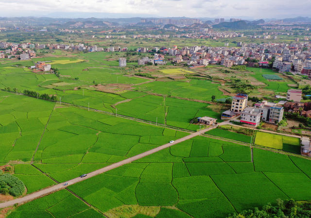 嘉禾：田园“丰”景