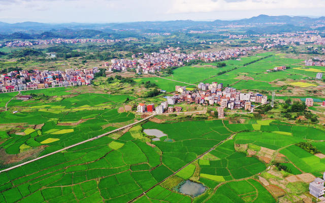 嘉禾：田园“丰”景