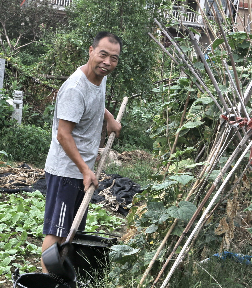 种植囗蔬菜