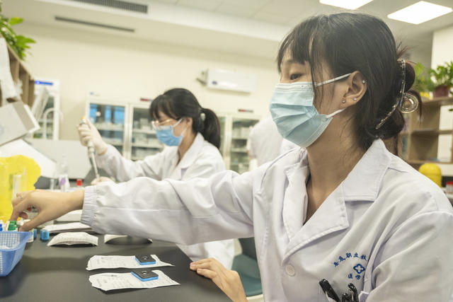 娄底 岗位 医师节 医者 医师