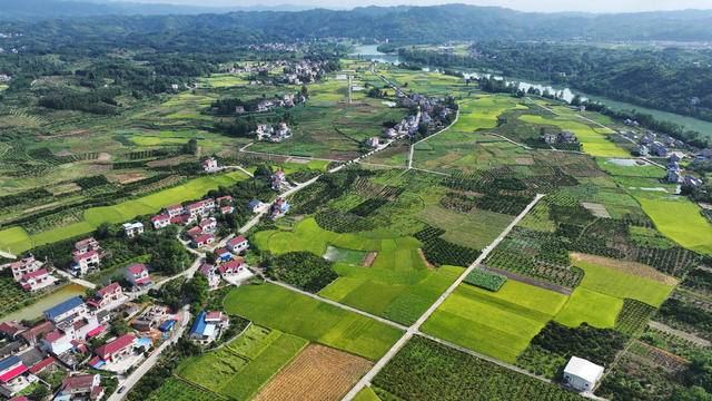 四好农村路