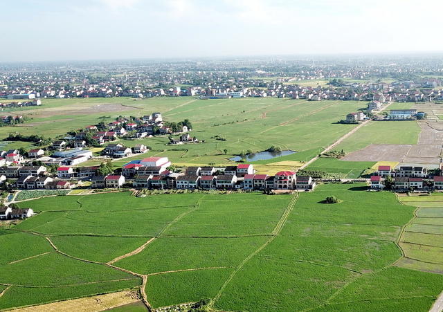 晚稻口长势囗喜人