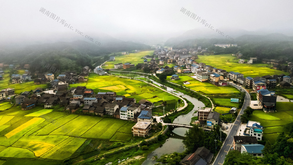 通道 侗族 乡村 河 路 田 雾 美景