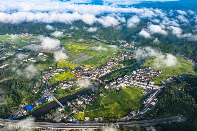 公路 交通 乡村 田园 生态 丰收