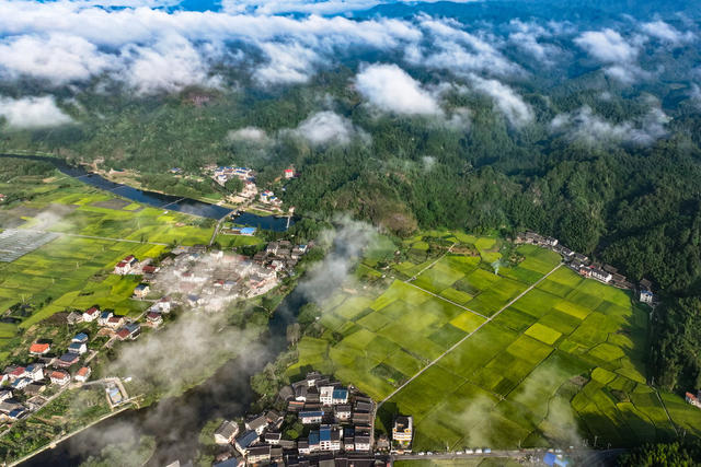 公路 交通 乡村 田园 生态 丰收