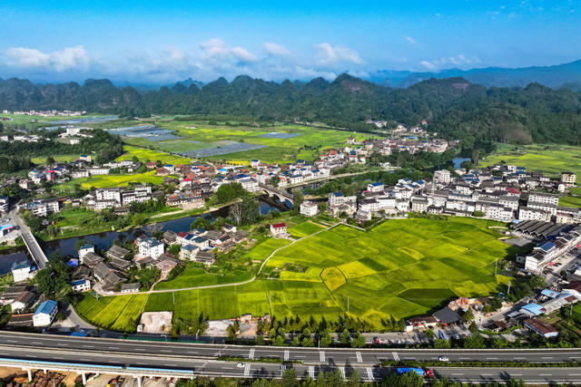 公路 交通 乡村 田园 生态 丰收