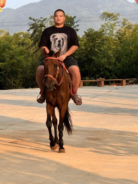 返乡创业青年 养殖有牛、马、猪等畜牧