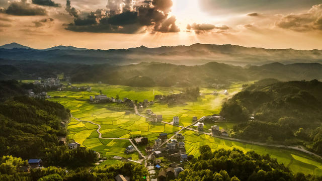 通道 乡村 田园 阳光 照射 丰收 画卷