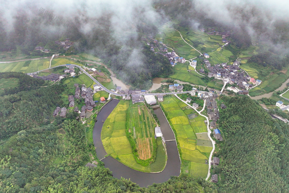 公路 交通 乡村 田园 生态 丰收 秋