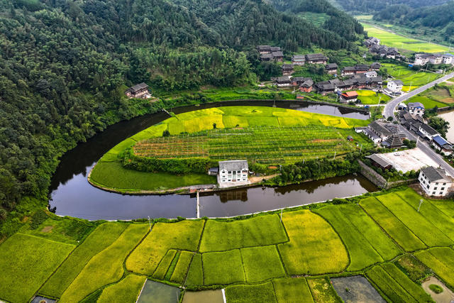 公路 交通 乡村 田园 生态 丰收 秋