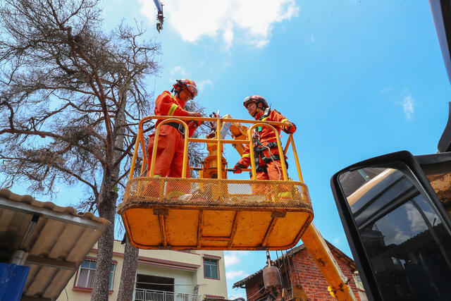 消防  救援  砍树  除险  安全