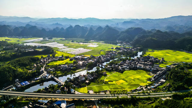 秋日 侗族 乡村 金黄 稻田 丰收 美景