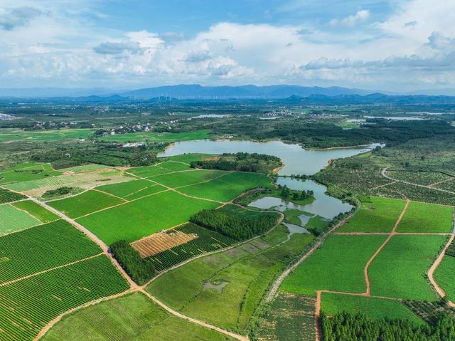 产业
特色
道县