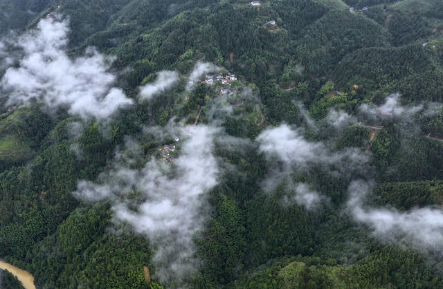 湖南桂东 仙境 人家 村民 致富路