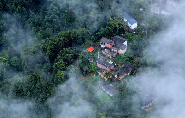 湖南桂东 仙境 人家 村民 致富路