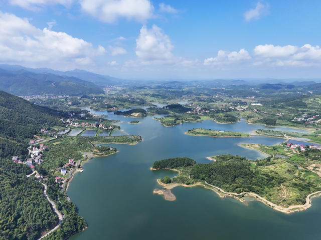 生态  水库  湿地  风景  自然  旅游