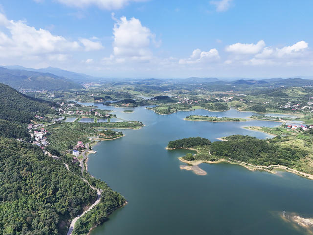 生态  水库  湿地  风景  自然  旅游