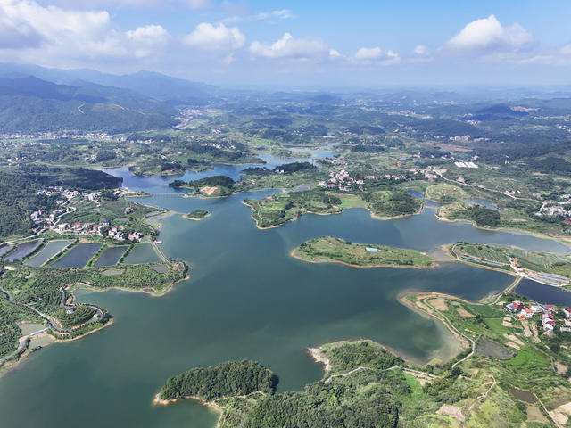 生态  水库  湿地  风景  自然  旅游