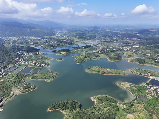 生态  水库  湿地  风景  自然  旅游
