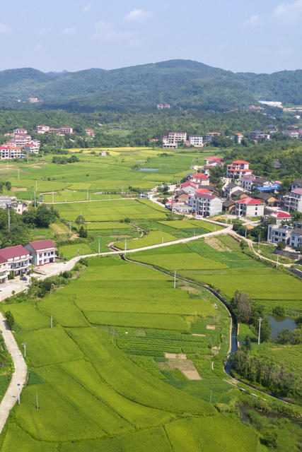 湖南娄底 田园 乡村 生态美