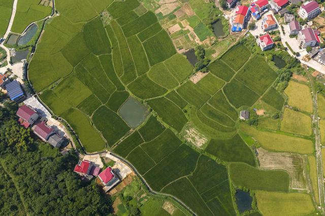 湖南娄底 田园 乡村 生态美