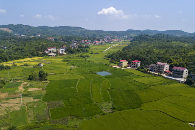湖南娄底 田园 乡村 生态美