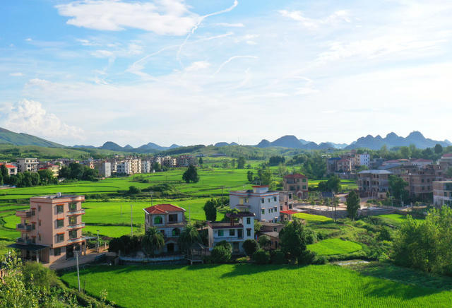 新田：生态乡村“丰”景美