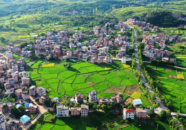 新田：生态乡村“丰”景美