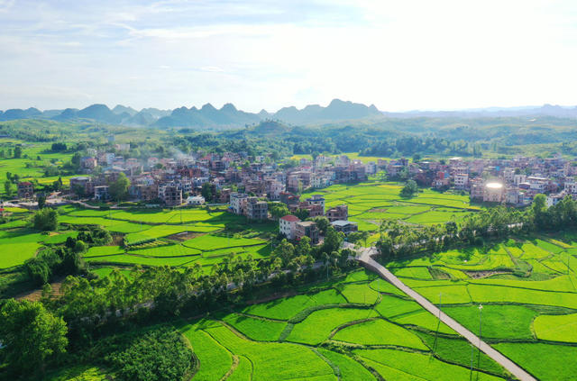 新田：生态乡村“丰”景美