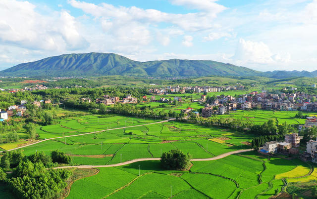 新田：生态乡村“丰”景美
