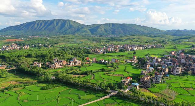 新田：生态乡村“丰”景美