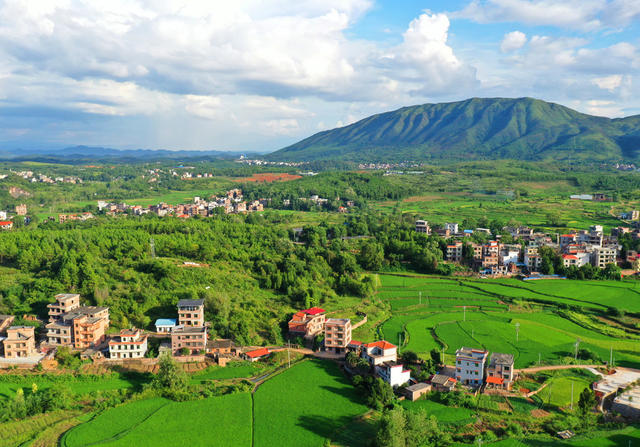 新田：生态乡村“丰”景美