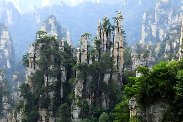 自然 旅游 天子山 绿树 山脉 景观