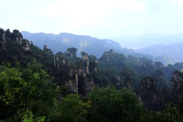 自然 旅游 天子山 绿树 山脉 景观