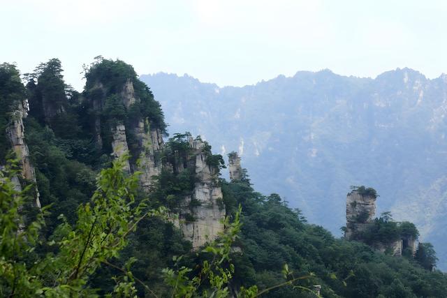 自然 旅游 天子山 绿树 山脉 景观