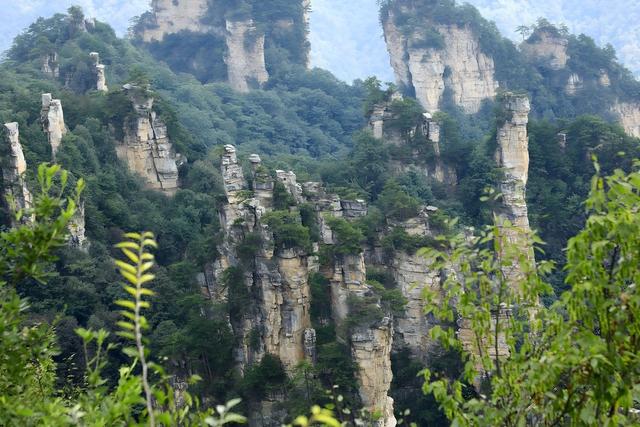 自然 旅游 天子山 绿树 山脉 景观