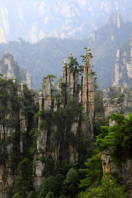 自然 旅游 天子山 绿树 山脉 景观