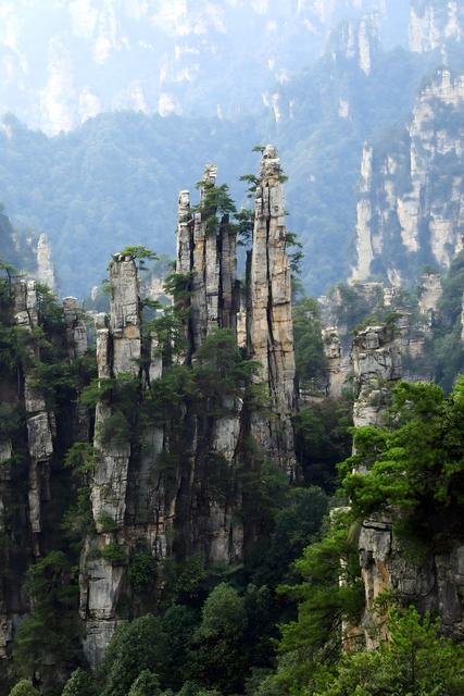 自然 旅游 天子山 绿树 山脉 景观