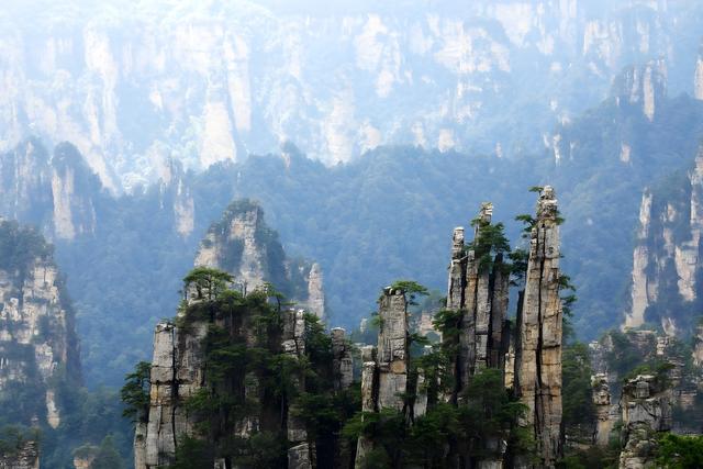 自然 旅游 天子山 绿树 山脉 景观