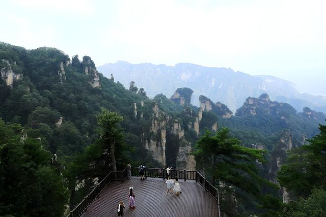 自然 旅游 天子山 绿树 山脉 景观