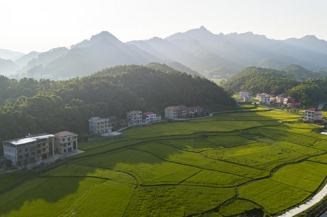 湖南娄底 田园 田野 景色 稻田