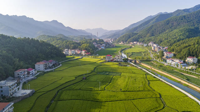 湖南娄底 田园 田野 景色 稻田
