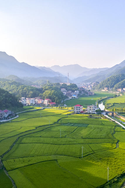 湖南娄底 田园 田野 景色 稻田