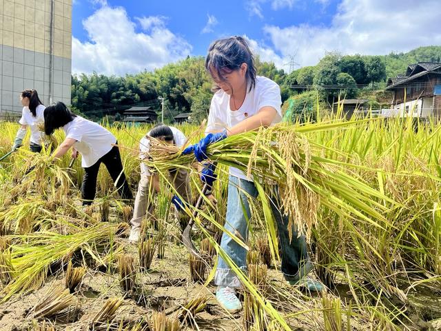 “三下乡”劳动体验农事
