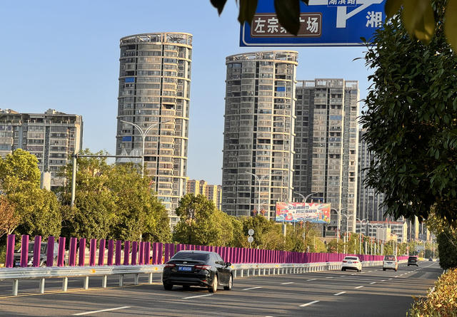 国道城区安装紫红色防眩板格外美丽  减少安全隐患  通行安全顺畅