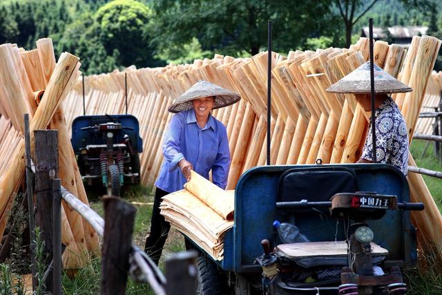 木材加工、晾晒、生态保护、绿色发展、产业链