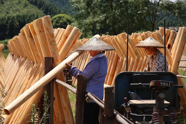 木材加工、晾晒、生态保护、绿色发展、产业链