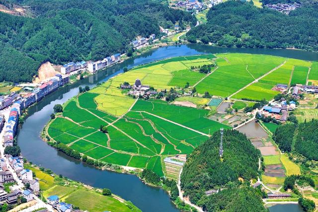 水稻、乡村、丰收景象、耕地保护、农村