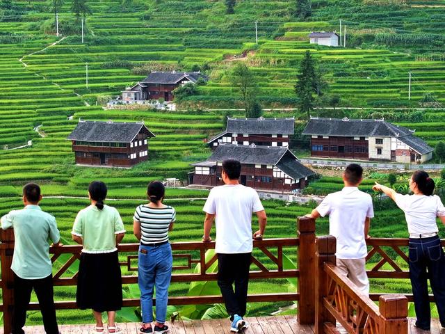 湖南新化 芭蕉山梯田 秋景 旅游 赏秋 梯田美景